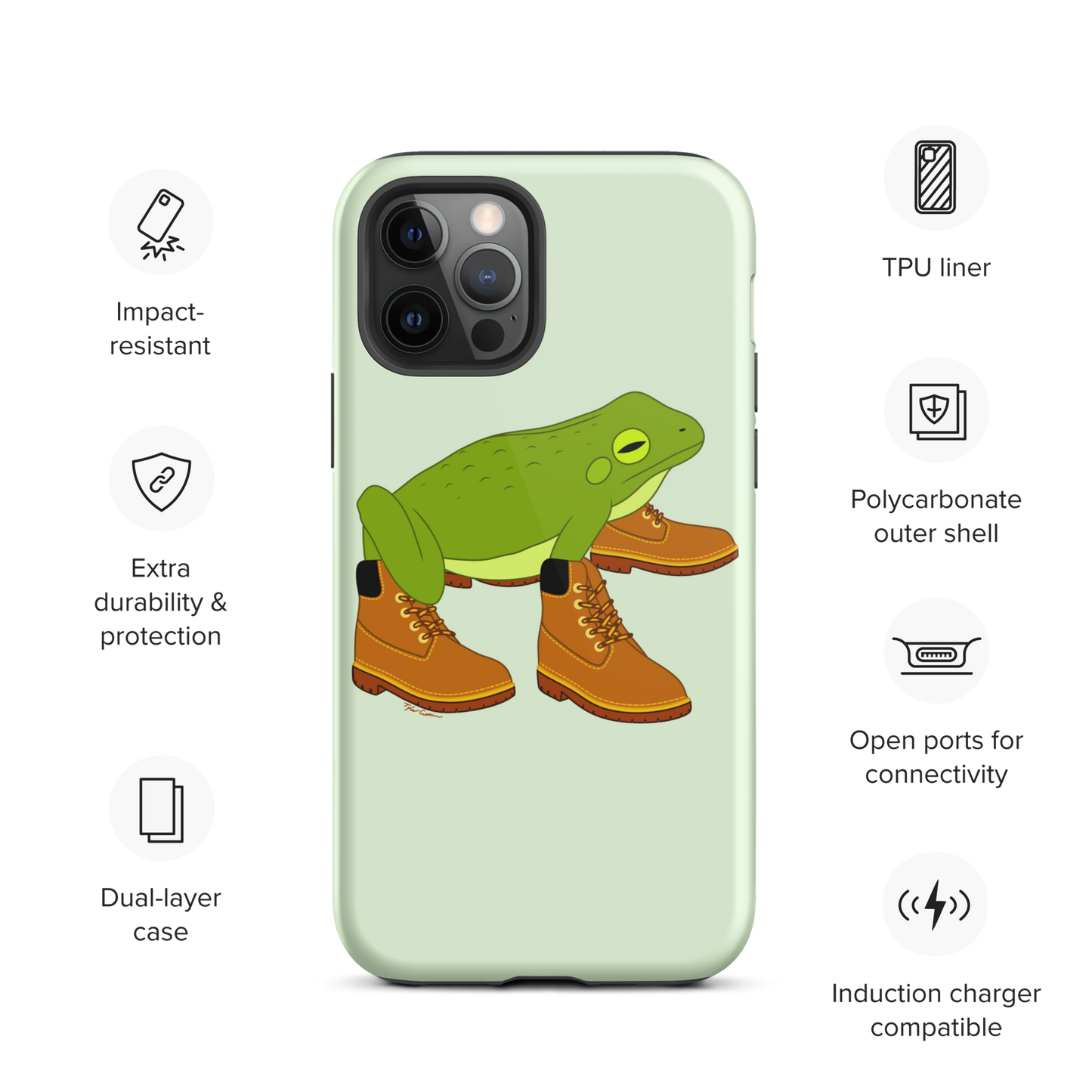 Amphimberlands iPhone Case