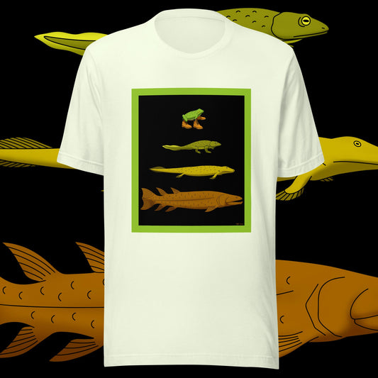 Evolution Tee