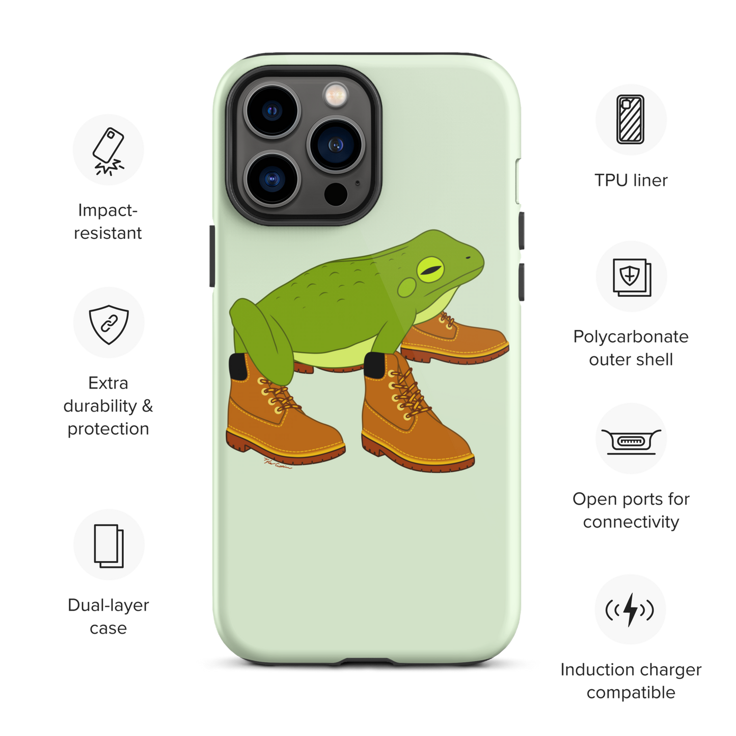 Amphimberlands iPhone Case